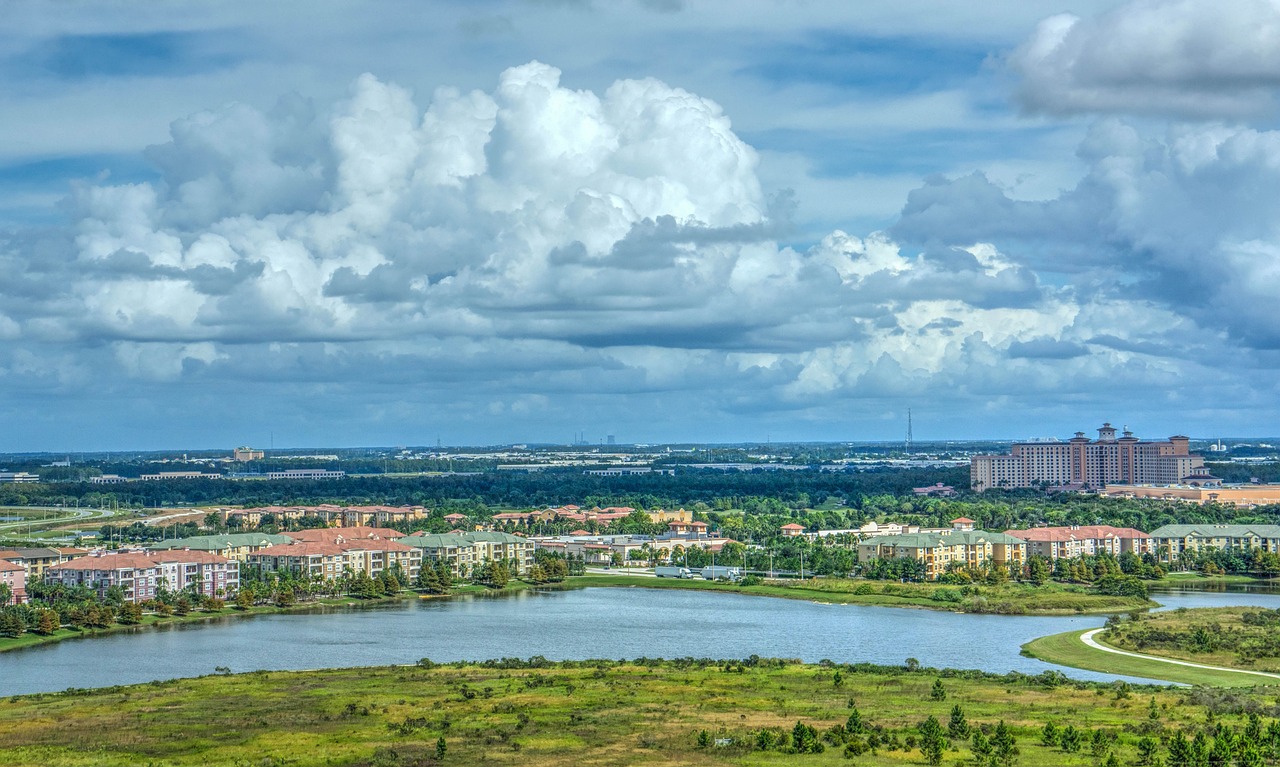 A picture of the city of Charleston from a hillside.